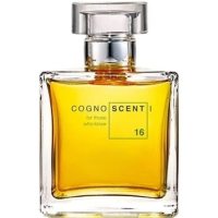 Cognoscenti No 16 Tomato Leather foto-small