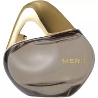 Merit Retrospect foto-small
