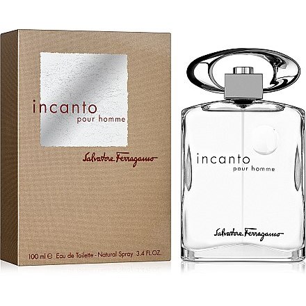 Ferragamo incanto hotsell pour homme